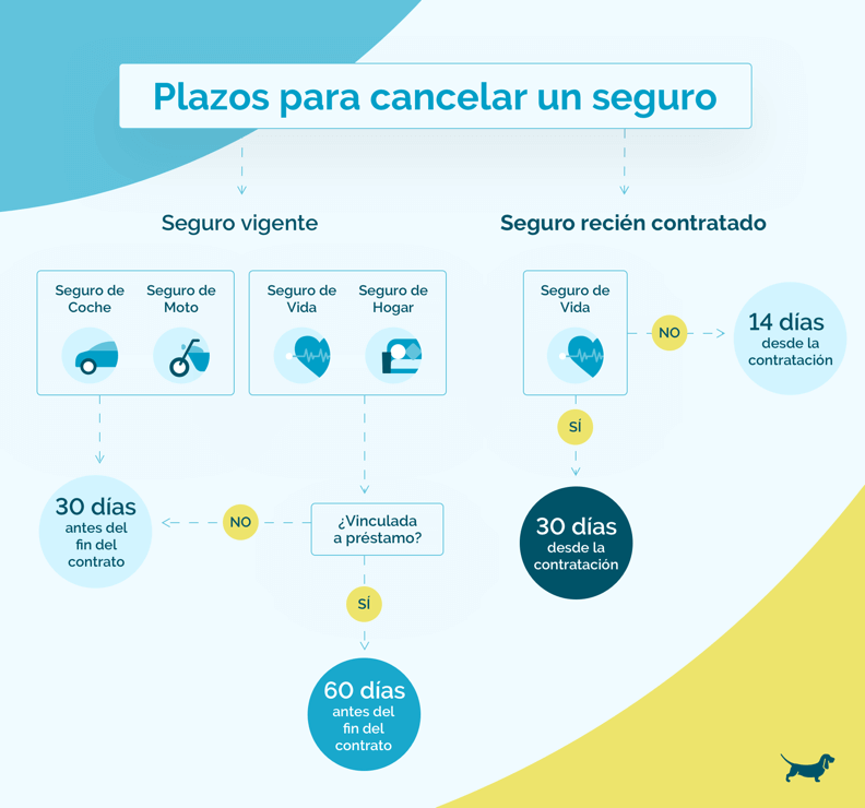 Pasos para cancelar una póliza de viaje 1 pasos para cancelar una poliza de viaje 1